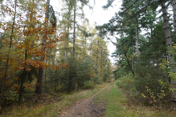 Wandelen door natuurgebied Makken