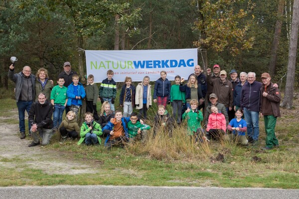 Bosgroep en Scouting verwijderen opschot van dennen en andere boompjes jaarlijkse Natuurwerkdag in Overloon