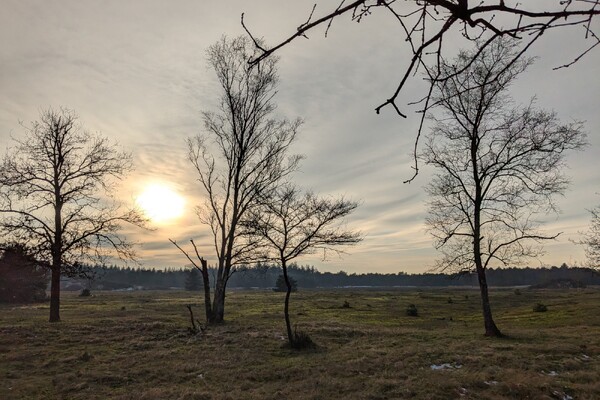 Natuurgebied Molenheide een pareltje in Land van Cuijk