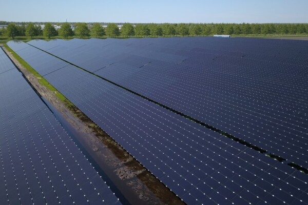 Helft elektriciteit in Nederland duurzaam opgewekt – Wat betekent dit voor Land van Cuijk?